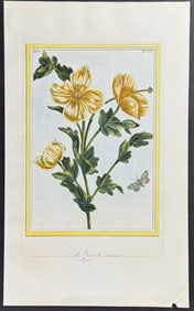 Buchoz - Horned Poppy. 45