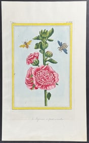 Buchoz - Hollyhock, Bee, & Insect. 14