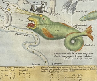 Lubieniecki - Cetus. 54