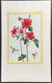 Buchoz - Rose Mallow & Insects. 87