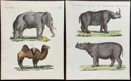 Bertuch - 3 Quadruped Engravings: Elephant, Camel, Rhinoceros, Zebra, Quagga, Porcupine, Hog