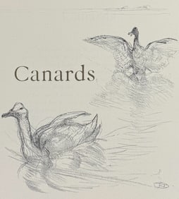 Toulouse-Lautrec & Renard - Duck (Canards)