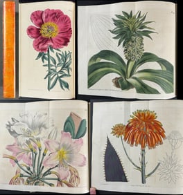 Curtis's Botanical Magazine - Two Volumes bound in One (35 & 36) with 83 Botanical Engravings