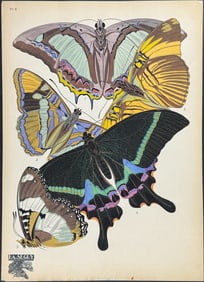 Seguy - Butterfly or Moth Pochoir. 8