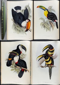 Gould's Family of Toucans - Volume with 33 Originally Hand-colored Lithographs