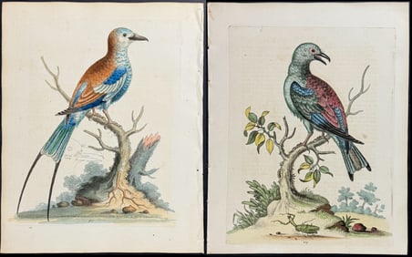 Edwards - Pair of Roller Engravings