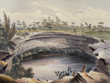 Angas, Australia - The Devil's Punch Bowl, near Mt. Schanck (Kangaroos)