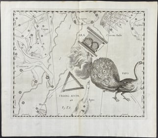 Hevelius - Constellation Chart: Pavo (Peacock), Ara, Triangular Australis
