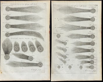 Lubieniecki - 3 Engravings of Comets