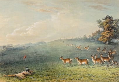 Catlin, Folio - Antelope Shooting. 20