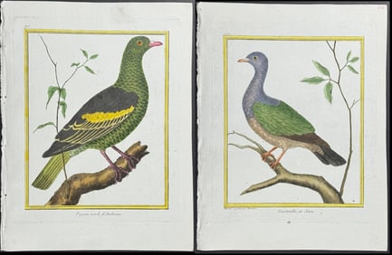 Martinet & Buffon - 6 Pigeon or Dove Engravings