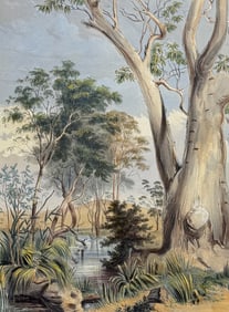 Angas, Australia - Old Gum Tree on the Gawler