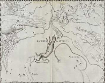 Hevelius - Constellation Chart: Lacerta