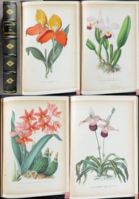 Puydt & Leroy's Les Orchidees - Volume with 50 Orchid Lithographs