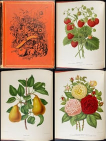 Wendel's Nederlandsche Flora en Pomona - Volume with 41 Fruit Chromolithographs