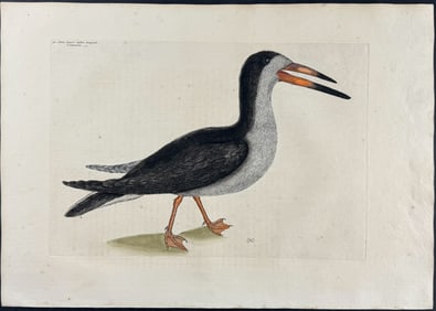 Catesby, First Ed - Cutwater. 1-90