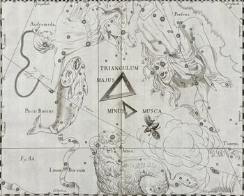 Hevelius - Constellation Chart: Triangulum Majus, Musca, Piscis Boreus