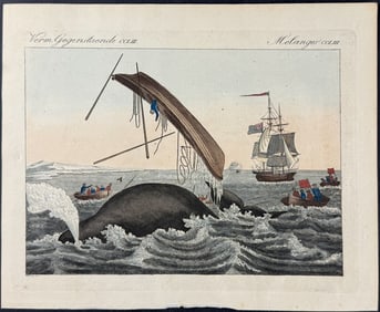 Bertuch - Whale Hunting