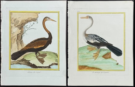 Martinet & Buffon - 6 Water or Shore Bird Engravings
