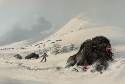 Catlin, Folio - Dying Buffalo Bull, In Snow Drift