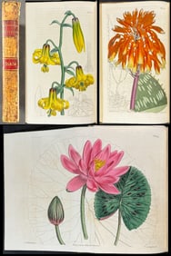 Curtis's Botanical Magazine - Two Volumes bound in One (33 & 34) with 90 Botanical Engravings