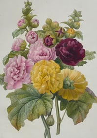 Redoute, Folio - Bouquet of Roses