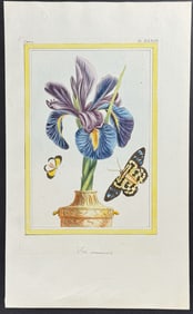 Buchoz - Iris, Moth, & Butterfly. 33