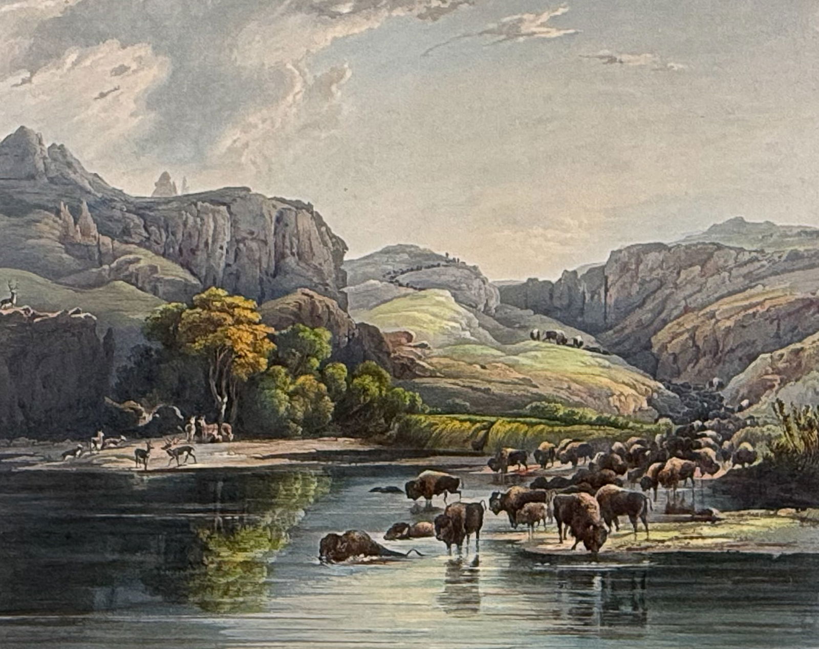 Karl Bodmer - Herd of Bisons and Elks on the Upper Missouri. 47 (1 of 2)