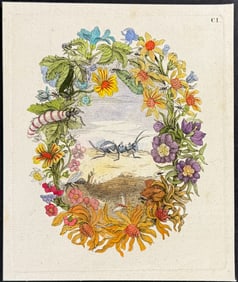 Merian - Floral Wreath with Ant. 101