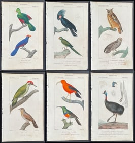 Turpin - Large Lot of 43 Bird Engravings
