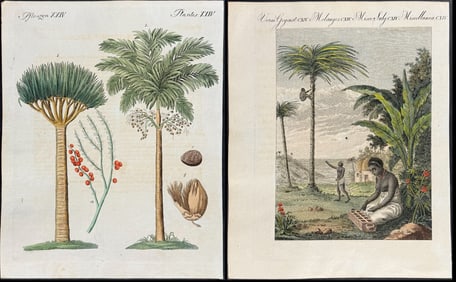 Bertuch - 7 Palm Tree & Harvesting Engravings
