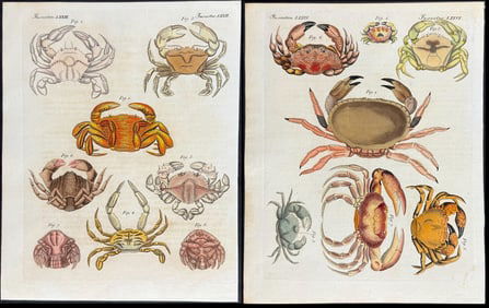 Bertuch - 4 Crab Engravings
