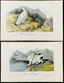Audubon - 3 Ptarmigan Lithographs