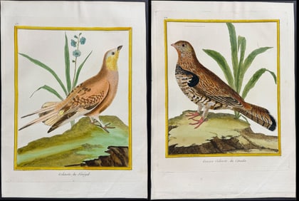 Martinet & Buffon - 6 Grouse Engravings
