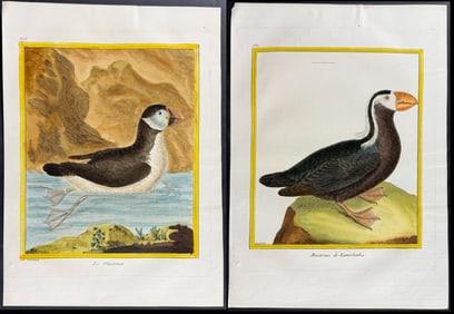 Martinet & Buffon - Pair of Puffin Engravings