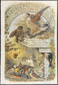 Bettoni & Dressler - Frontispiece