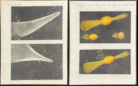 Bertuch - 3 Engravings of Comets, Celestial Events, Astronomy