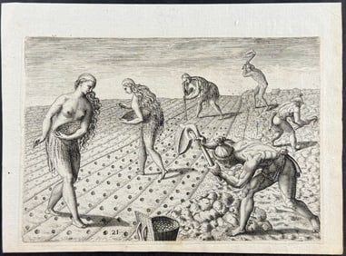 De Bry - Florida - Mode of tilling and planting
