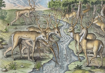 De Bry - Florida - Their manner of hunting (Deer)