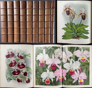 Linden's .. Iconographie des Orchidees - 9 Volumes with 813 Orchid Lithographs
