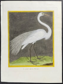 Martinet & Buffon - White Egret or Heron. 925