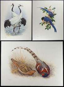 Lansdowne's Rare Birds of China - Lot of 32 Elephant Folio Bird Collotypes