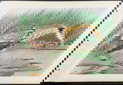 Brasher - Bittern. 3-190