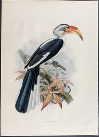 Elliot & Keulemans - Von Der Decken's Hornbill
