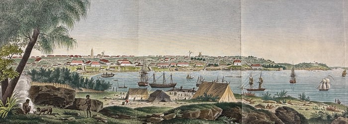 Peron & Freycinet - View of Sydney, Australia (New Holland). 38
