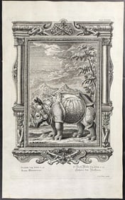 Scheuchzer - Rhinoceros (after Albrecht Durer). 313
