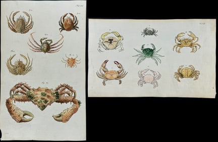 Herbst - Pair of Crab Engravings