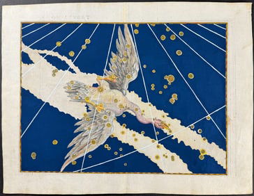 Bayer - Constellation Chart: Cygnus (Goose)