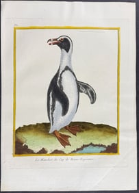 Martinet & Buffon - Penguin. 382