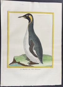 Martinet & Buffon - Penguin. 975